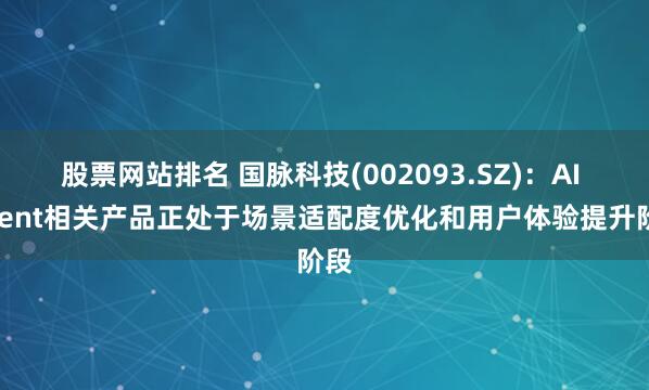 股票网站排名 国脉科技(002093.SZ)：AI Agent相关产品正处于场景适配度优化和用户体验提升阶段