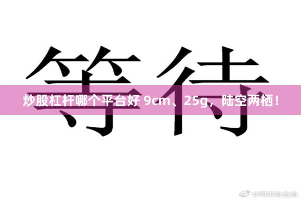 炒股杠杆哪个平台好 9cm、25g，陆空两栖！
