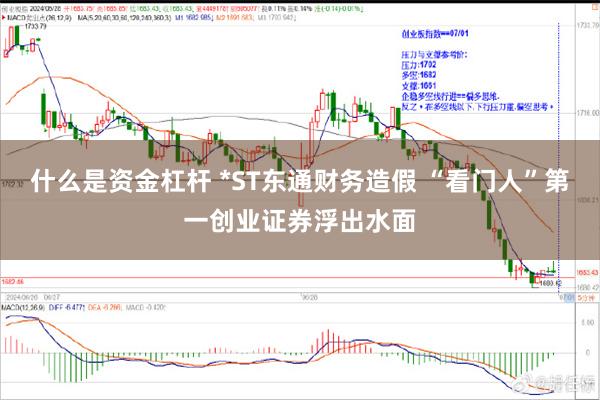 什么是资金杠杆 *ST东通财务造假 “看门人”第一创业证券浮出水面