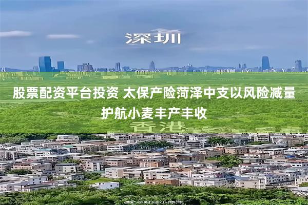 股票配资平台投资 太保产险菏泽中支以风险减量护航小麦丰产丰收