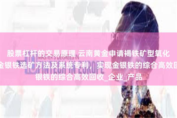 股票杠杆的交易原理 云南黄金申请褐铁矿型氧化金矿综合回收金银铁选矿方法及系统专利，实现金银铁的综合高效回收_企业_产品