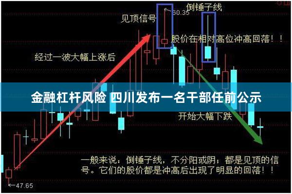 金融杠杆风险 四川发布一名干部任前公示