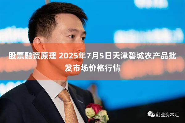 股票融资原理 2025年7月5日天津碧城农产品批发市场价格行情