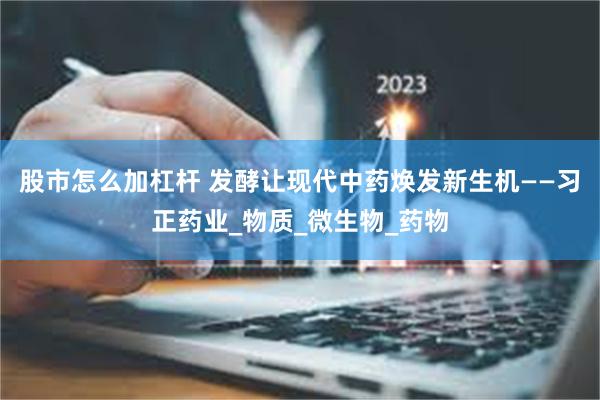 股市怎么加杠杆 发酵让现代中药焕发新生机——习正药业_物质_微生物_药物