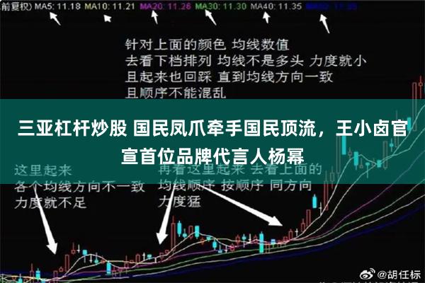 三亚杠杆炒股 国民凤爪牵手国民顶流，王小卤官宣首位品牌代言人杨幂