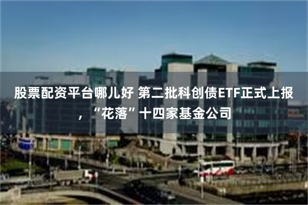 股票配资平台哪儿好 第二批科创债ETF正式上报，“花落”十四家基金公司
