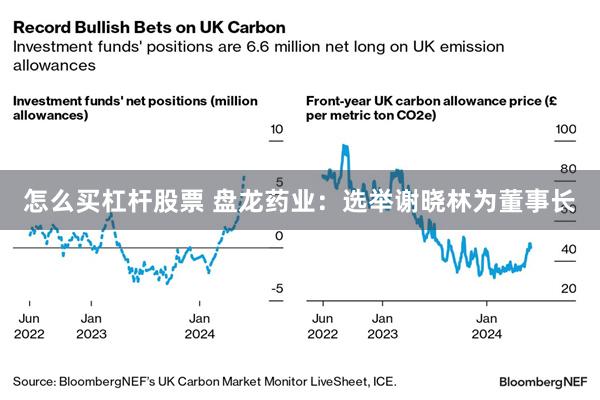 怎么买杠杆股票 盘龙药业：选举谢晓林为董事长