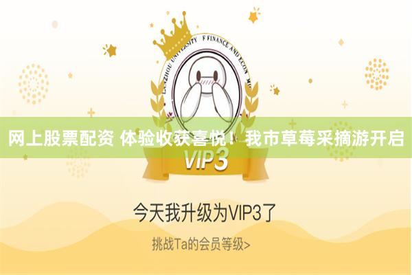 网上股票配资 体验收获喜悦！我市草莓采摘游开启