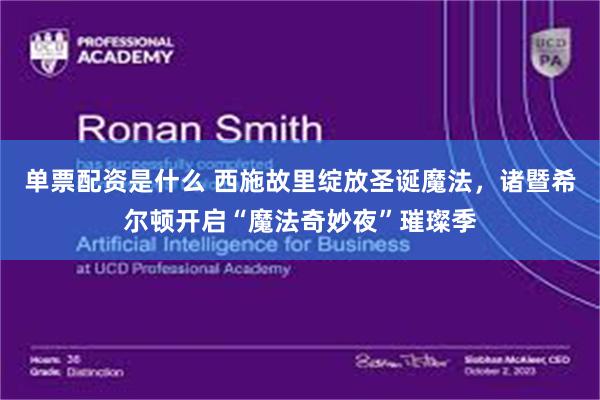 单票配资是什么 西施故里绽放圣诞魔法，诸暨希尔顿开启“魔法奇妙夜”璀璨季