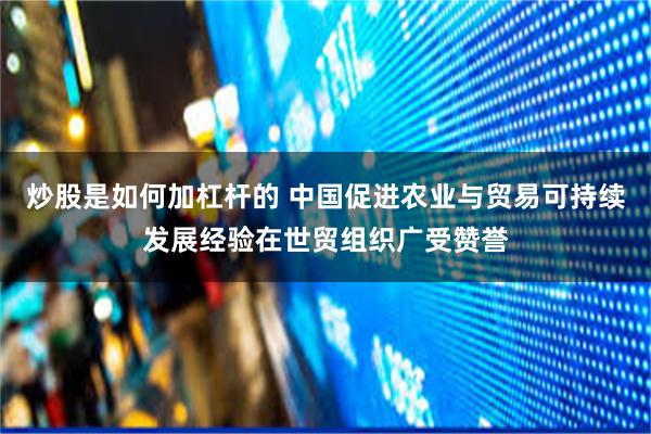 炒股是如何加杠杆的 中国促进农业与贸易可持续发展经验在世贸组织广受赞誉