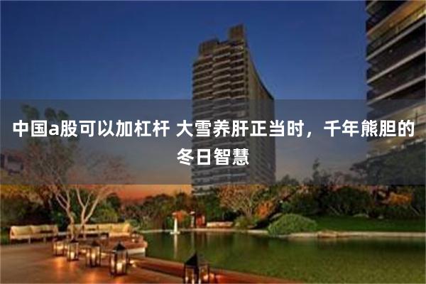 中国a股可以加杠杆 大雪养肝正当时，千年熊胆的冬日智慧